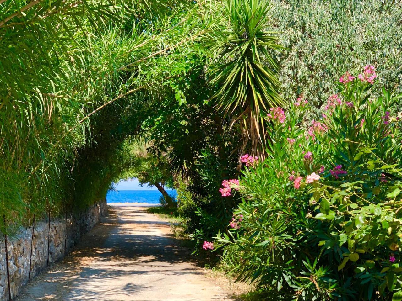 Ionos * Pyrgi Thermis