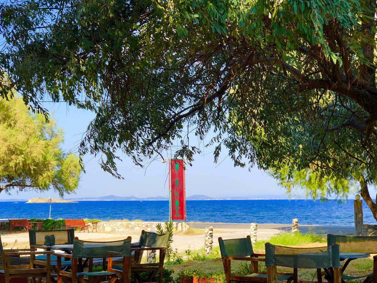 Apartment Ionos *